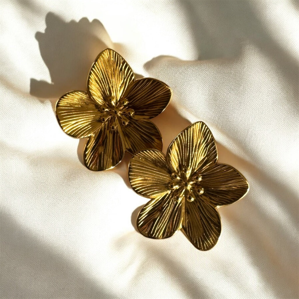 Boucles D’oreilles