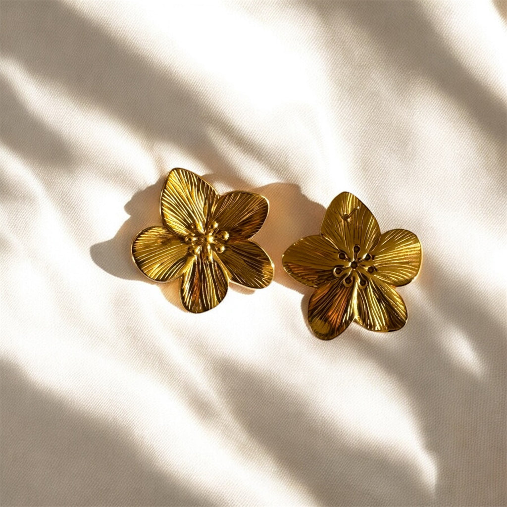 Boucles D’oreilles